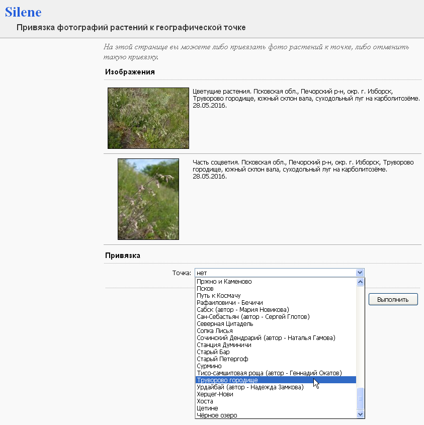 http://forum.plantarium.ru/misc.php?action=pun_attachment&amp;item=9933&amp;download=0