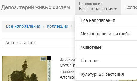 http://forum.plantarium.ru/misc.php?action=pun_attachment&amp;item=16716&amp;download=0