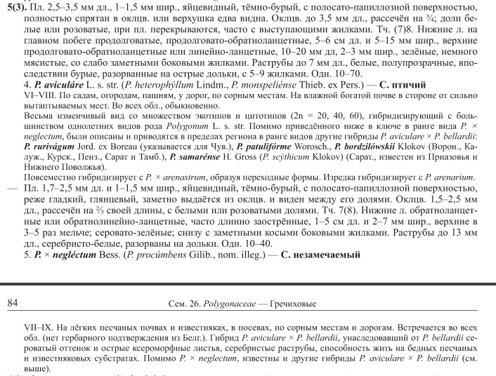 http://forum.plantarium.ru/misc.php?action=pun_attachment&amp;item=16778&amp;download=0
