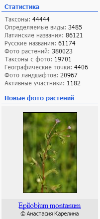 http://forum.plantarium.ru/misc.php?action=pun_attachment&amp;item=16869&amp;download=0