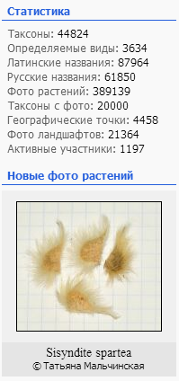 http://forum.plantarium.ru/misc.php?action=pun_attachment&amp;item=18022&amp;download=0