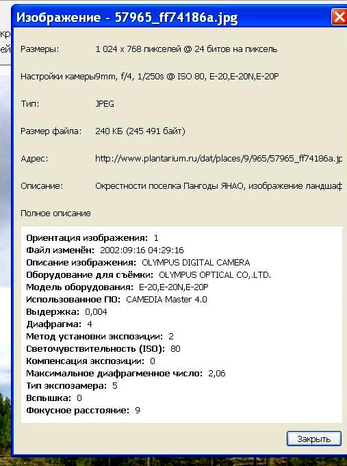 http://forum.plantarium.ru/misc.php?action=pun_attachment&amp;item=18394&amp;download=0