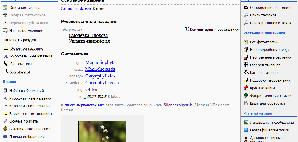 http://forum.plantarium.ru/misc.php?action=pun_attachment&amp;item=21629&amp;download=0