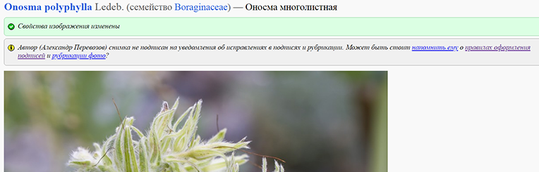 http://forum.plantarium.ru/misc.php?action=pun_attachment&amp;item=22810&amp;download=0