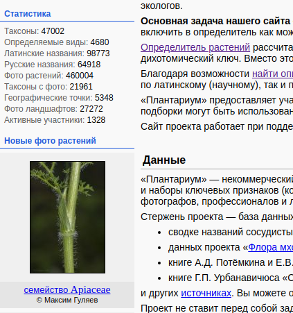 http://forum.plantarium.ru/misc.php?action=pun_attachment&amp;item=25233&amp;download=0