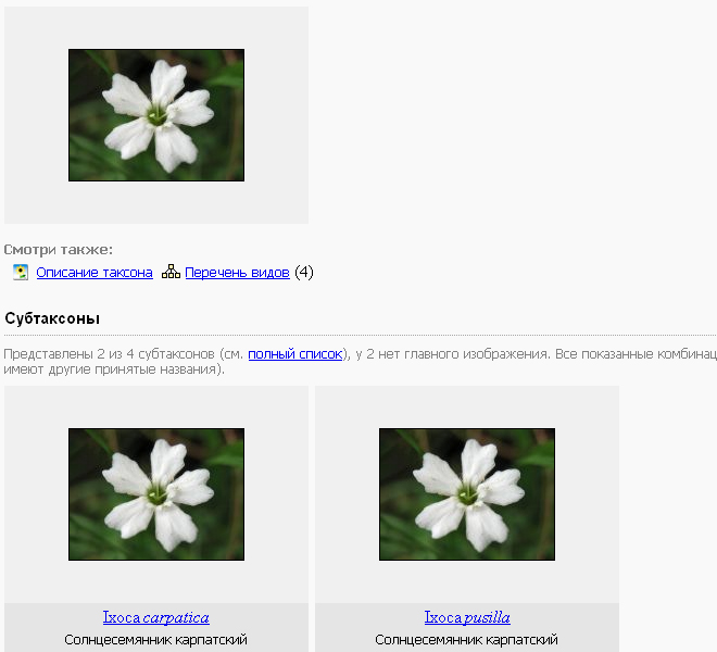 http://forum.plantarium.ru/misc.php?action=pun_attachment&amp;item=5154&amp;download=0