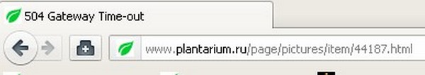 http://forum.plantarium.ru/misc.php?action=pun_attachment&amp;item=5359&amp;download=0