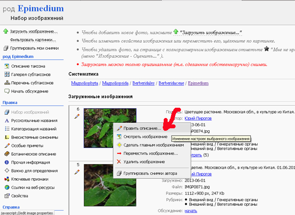 http://forum.plantarium.ru/misc.php?action=pun_attachment&amp;item=6377&amp;download=0