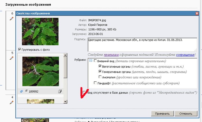 http://forum.plantarium.ru/misc.php?action=pun_attachment&amp;item=6378&amp;download=0