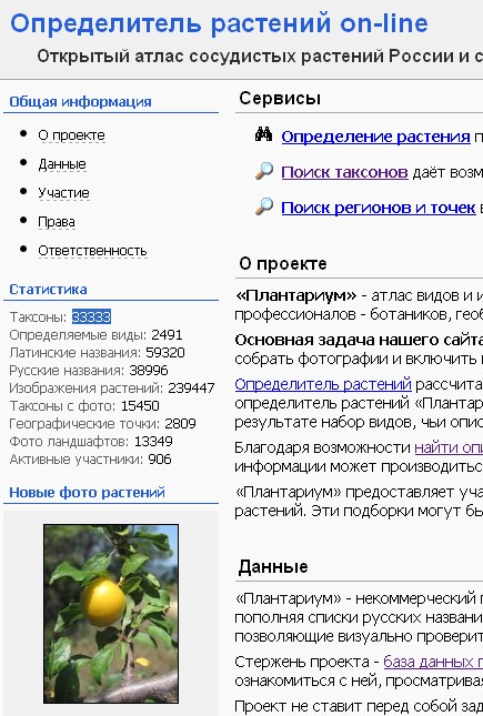 http://forum.plantarium.ru/misc.php?action=pun_attachment&amp;item=6982&amp;download=0