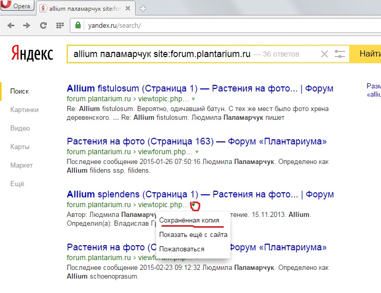 http://forum.plantarium.ru/misc.php?action=pun_attachment&amp;item=7448&amp;download=0