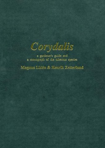 Corydalis.jpg