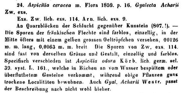 flora 1859.PNG