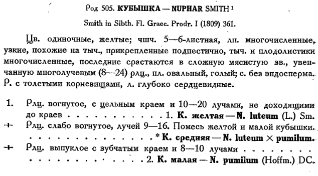 Nuphar (Flora USSR v. 7, p. 12).png
