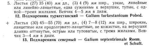 Galium_kirgiz_key.jpg