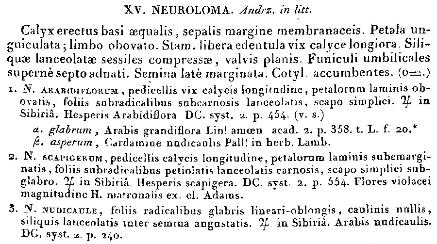 Neuroloma_1a.png