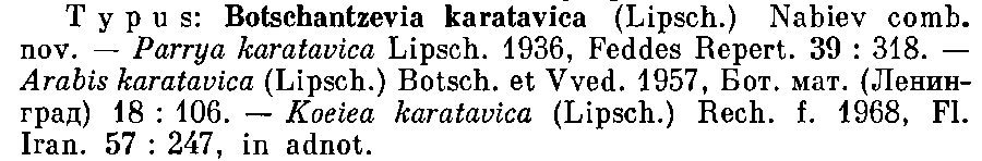 Botschantzevia_karatavica_1a.png