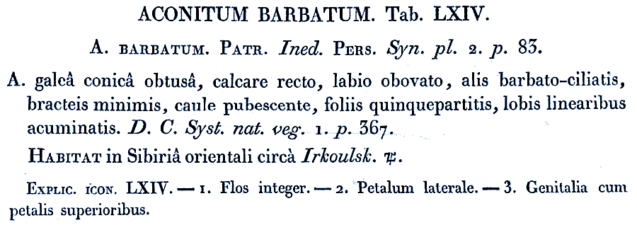 Aconitum_barbatum_4a.png