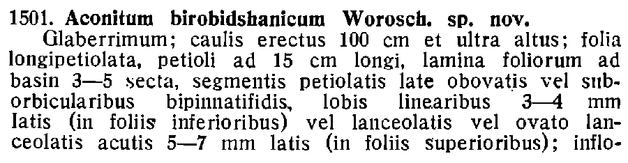 Aconitum_birobidshanicum_1a.png