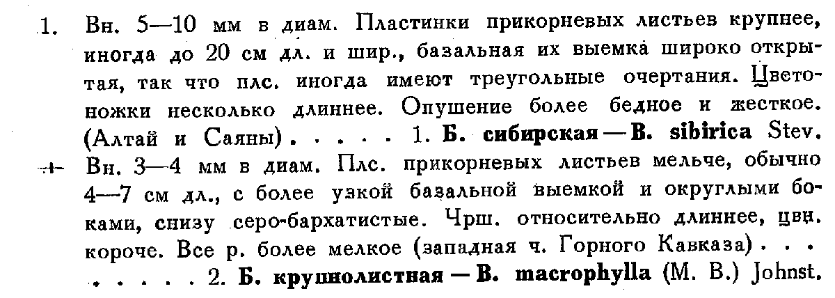 Флора СССР, т. 19, с. 295.png