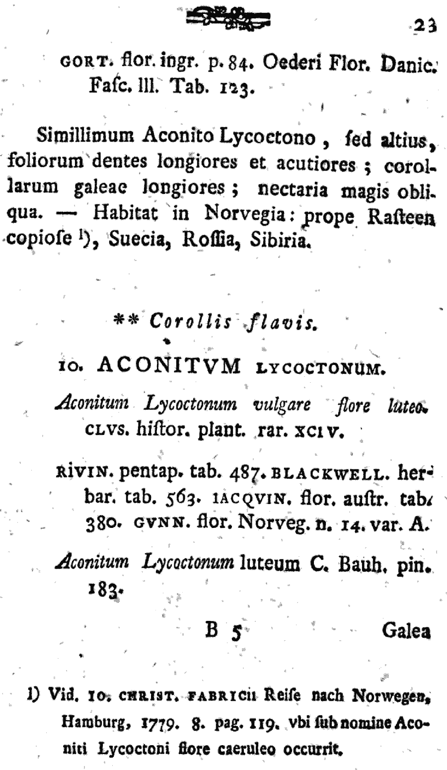 Aconitum_septentrionale_2a.png