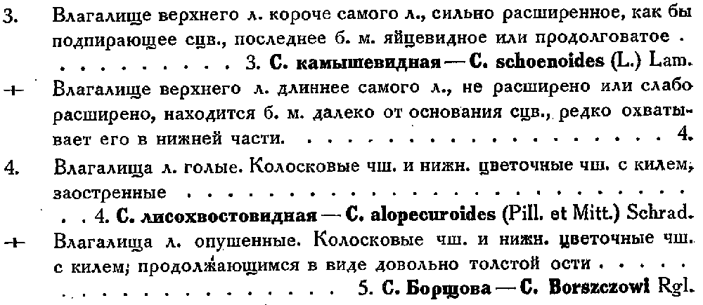 Флора СССР, т. 2, с. 122.png