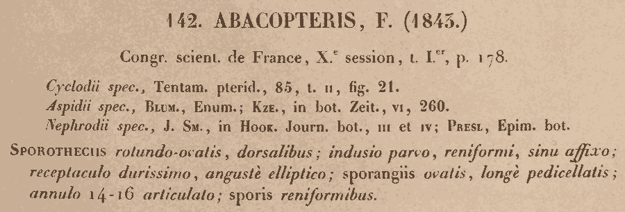 Abacopteris_1a.png