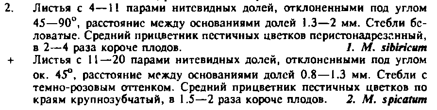 Флора Сибири, т.10, с. 121.png