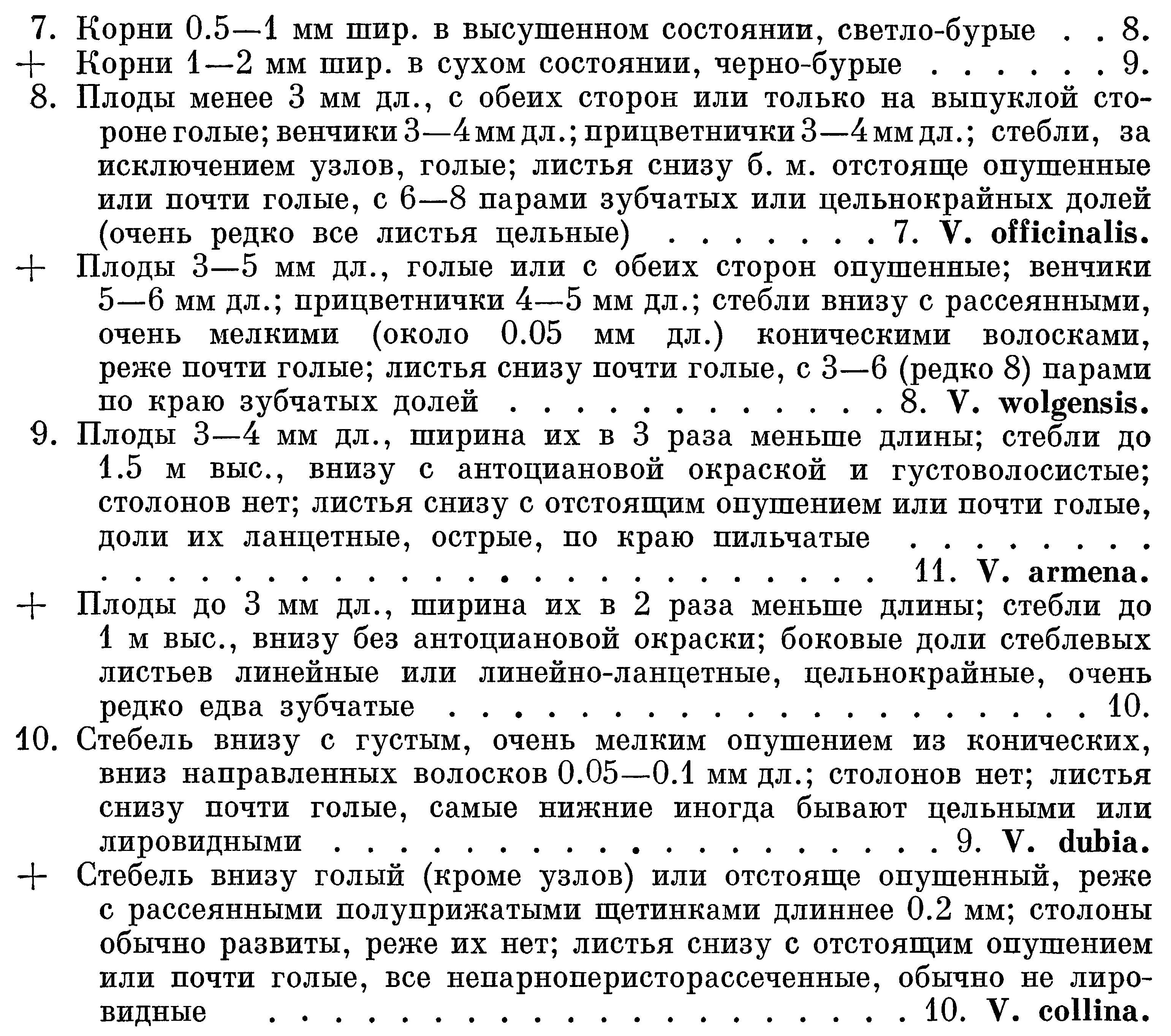 Флора европейской части СССР, т.3, с.33.png