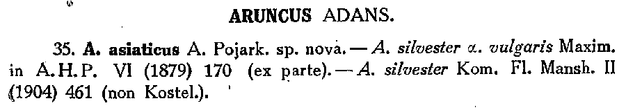 Aruncus_asiaticus_1a.png