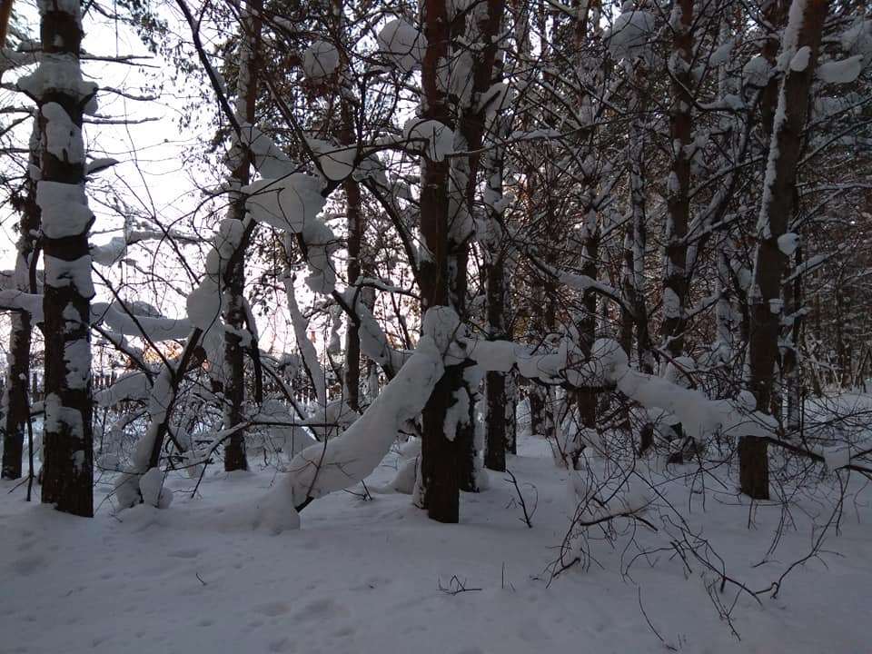 Снег-2.jpg