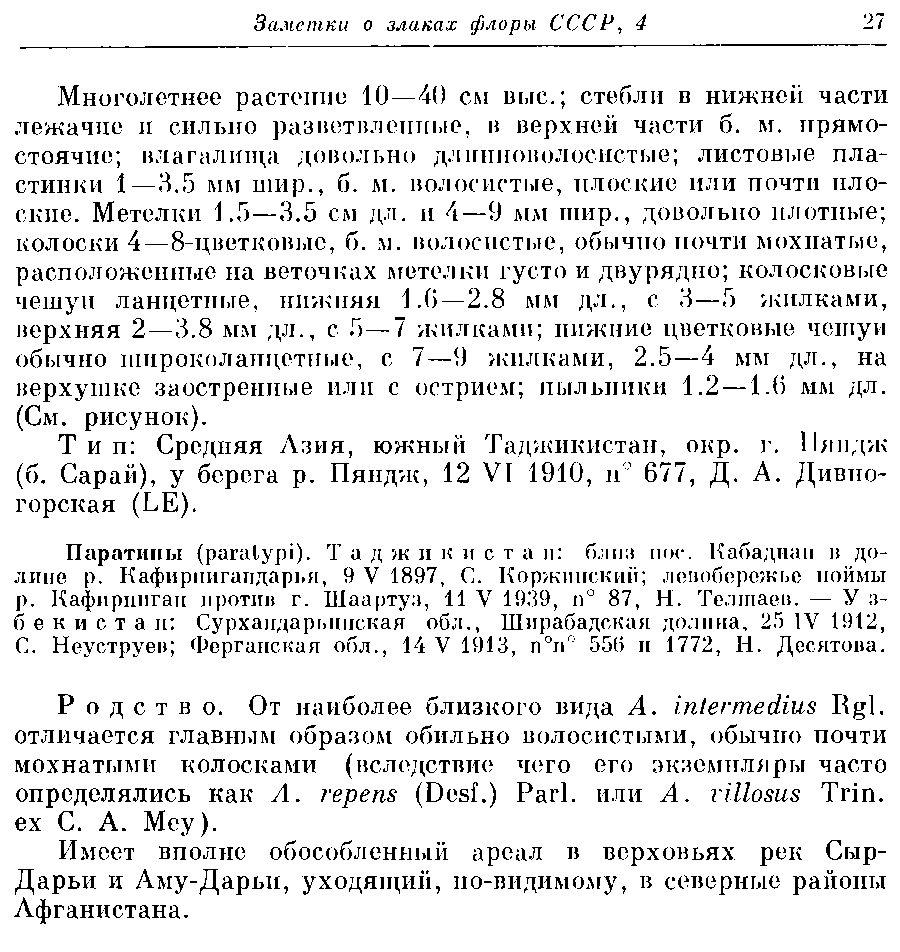 https://forum.plantarium.ru/misc.php?action=pun_attachment&amp;item=27871