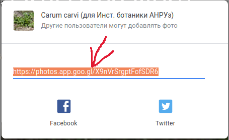 https://forum.plantarium.ru/misc.php?action=pun_attachment&amp;item=28284&amp;download=0