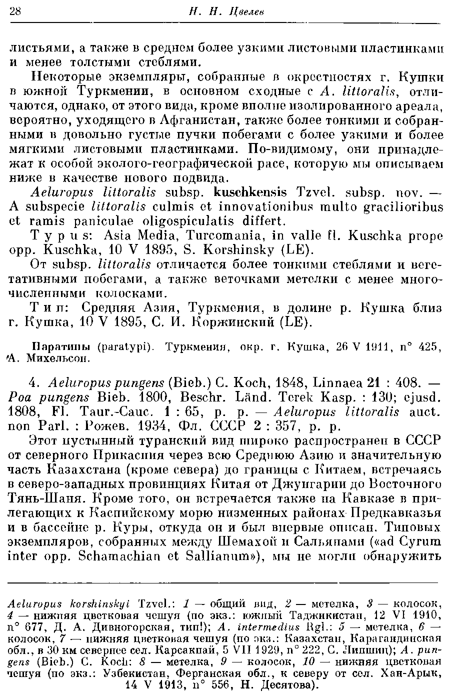 https://forum.plantarium.ru/misc.php?action=pun_attachment&amp;item=29418