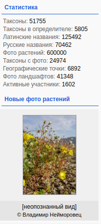 https://forum.plantarium.ru/misc.php?action=pun_attachment&amp;item=33124&amp;download=0