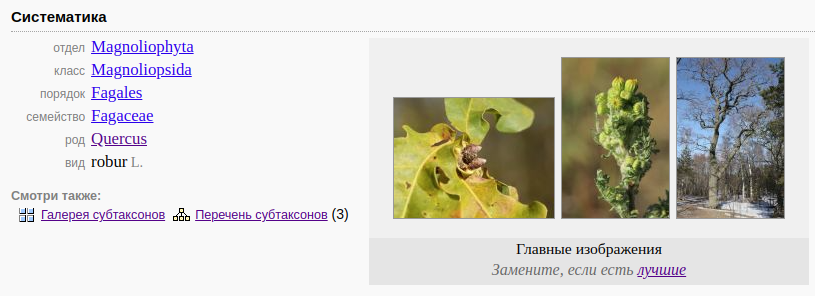 https://forum.plantarium.ru/misc.php?action=pun_attachment&amp;item=33951&amp;download=0