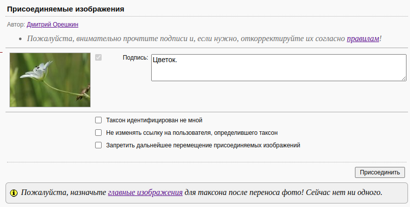 https://forum.plantarium.ru/misc.php?action=pun_attachment&amp;item=33952&amp;download=0