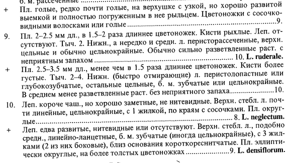 Цвелёв 2000 (с. 386).png