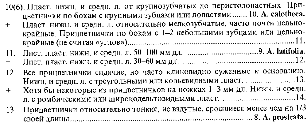 Цвелёв 2000, с. 335.png