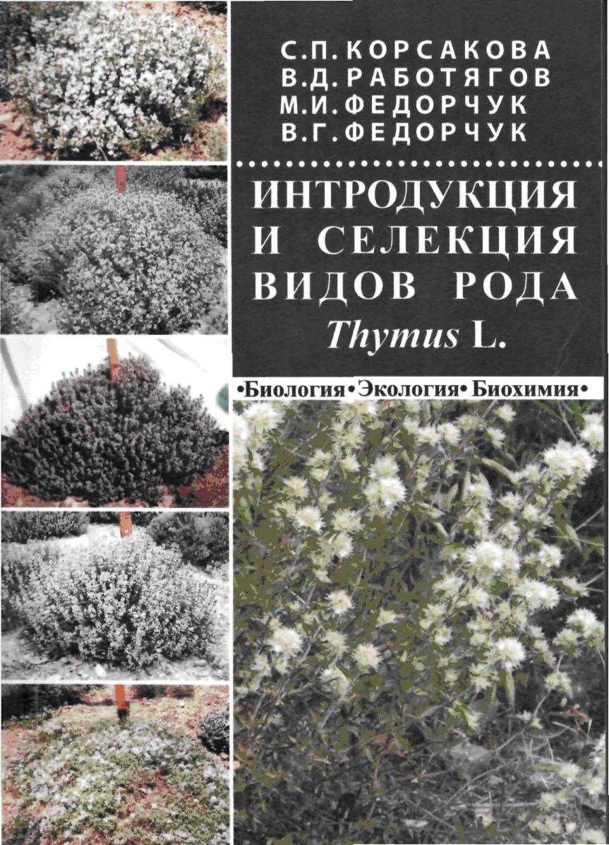 Korsakova_monographia_Thymus.jpg