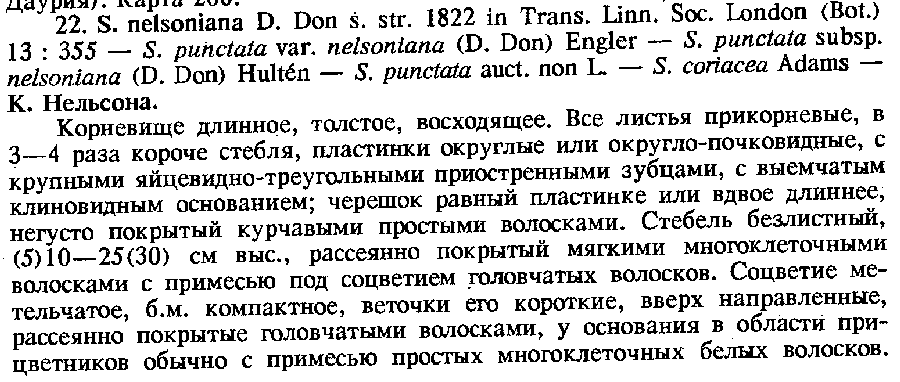 Flora Sibiri v. 7, p. 187.png