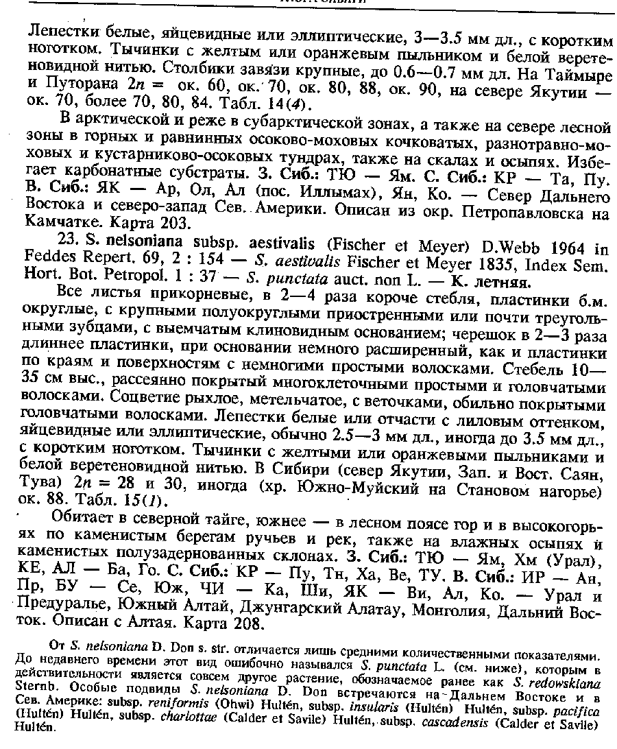 Flora Sibiri v. 7, p. 188.png