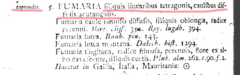 Linnaeus.jpg