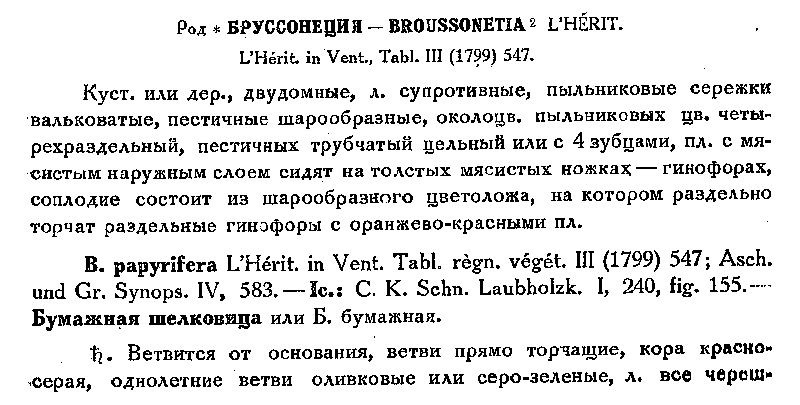 Флора СССР, т. 5, с. 379.png