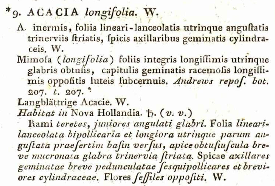 Acacia_longifolia_1a.jpg